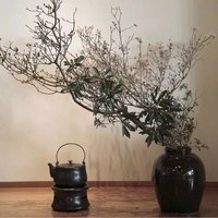 如何泡出一杯好茶？向匠人学习