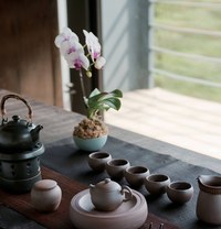 8月生活茶艺选课